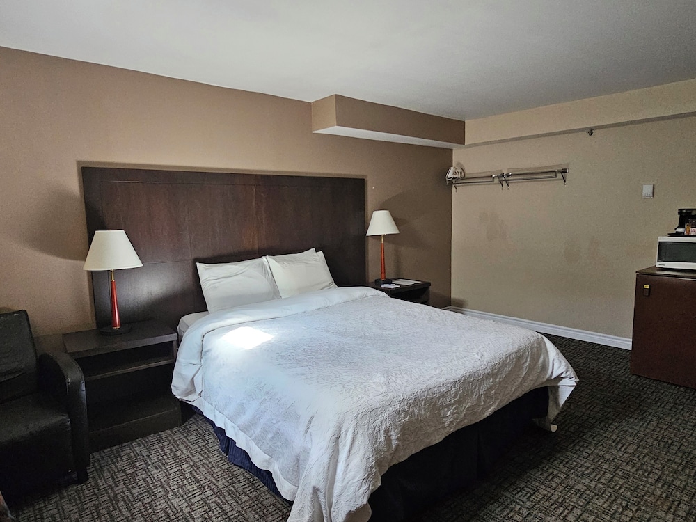 Room, Queen Bed