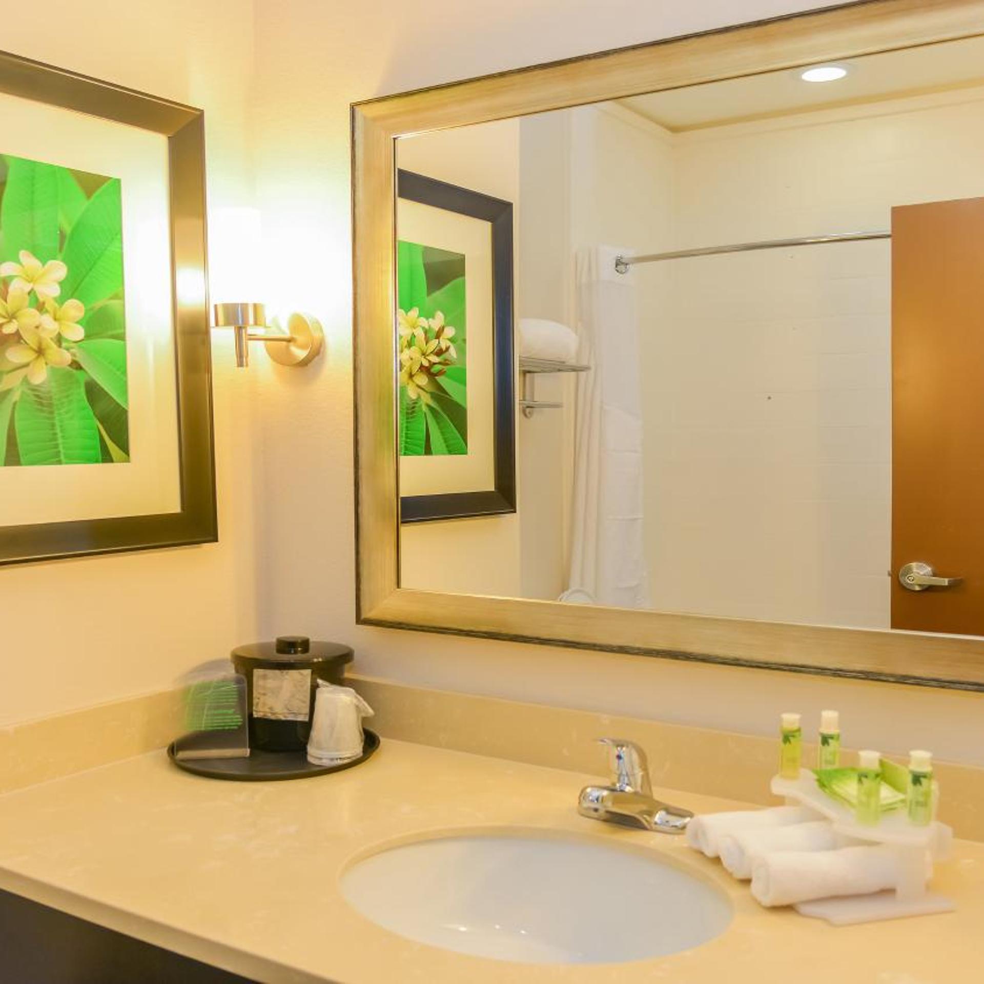 غرفة قياسية بسريرين كوين بحوض استحمام لذوي الإعاقة، Holiday Inn Express Suites Cuero 4/4