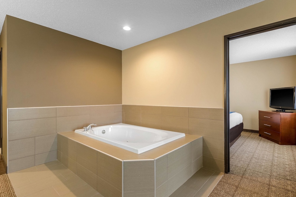 Comfort Suites Cedar Falls Industrial Park 17/34