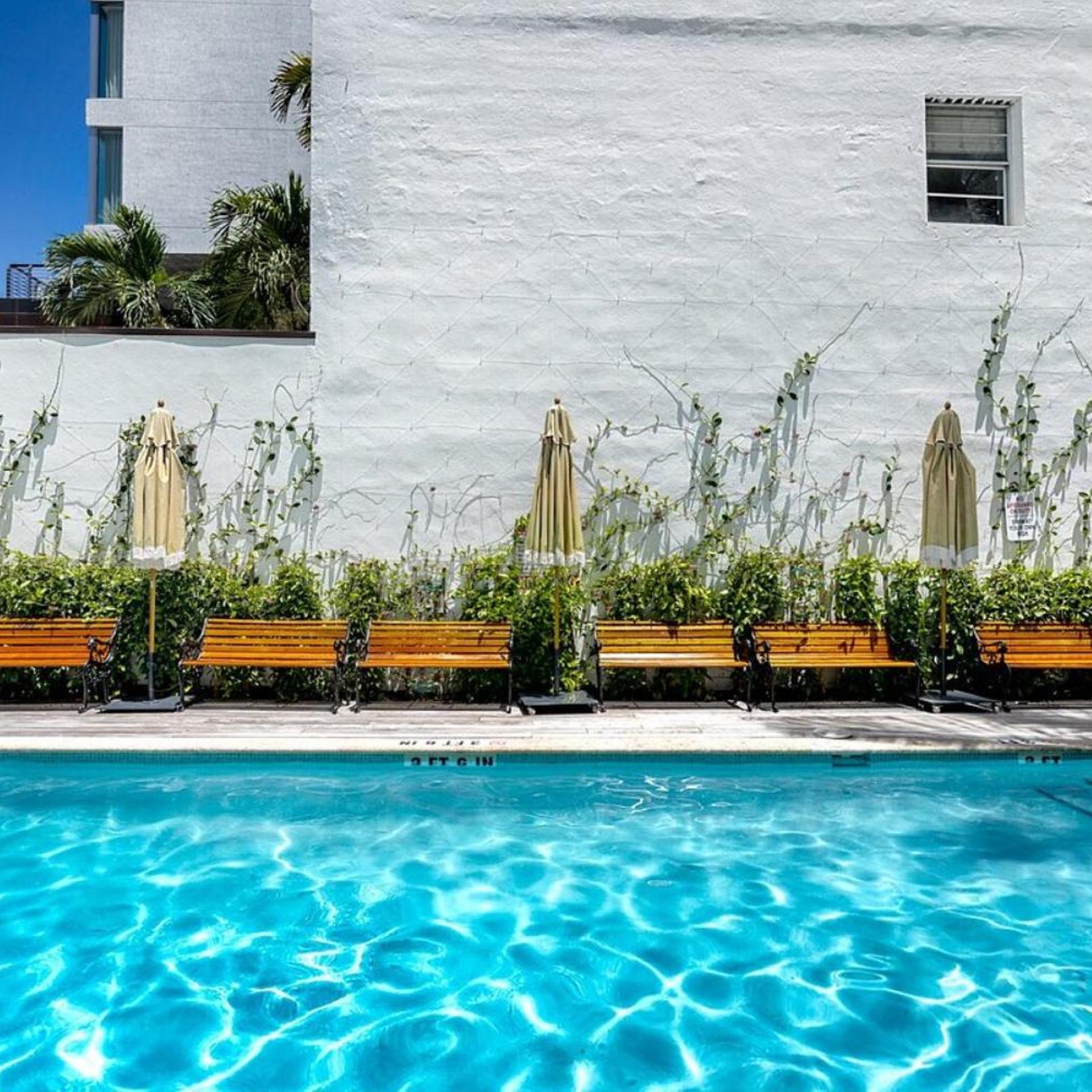 Bluebird Suites at The Apex Miami 7/50