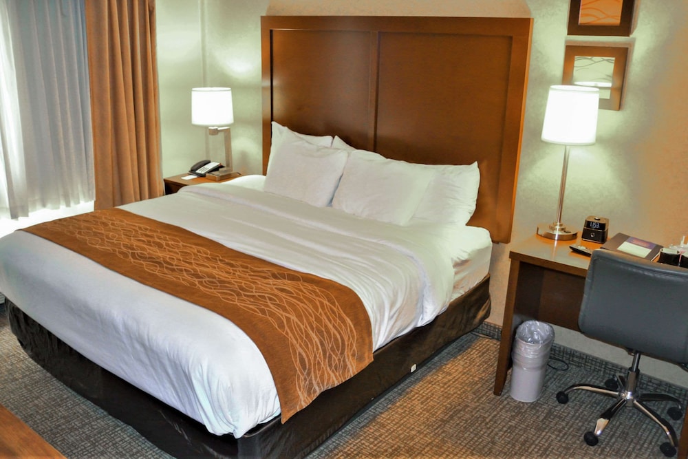 Comfort Inn & Suites Vancouver Downtown City Center 10/48