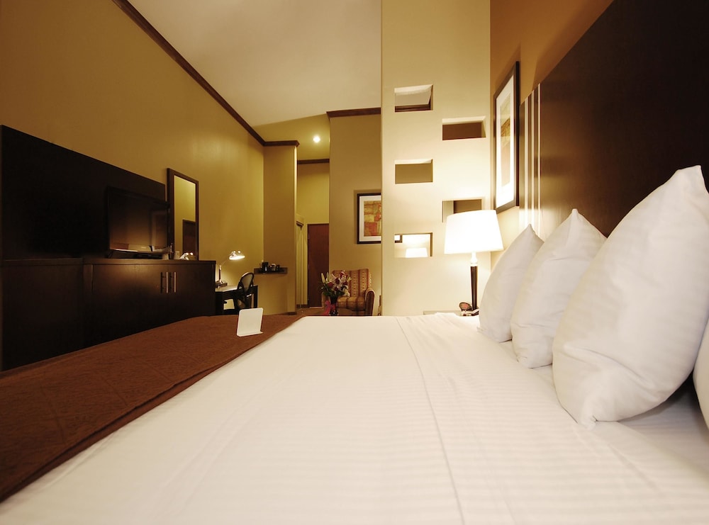 Best Western Plus Texoma Hotel and Suites 13/44