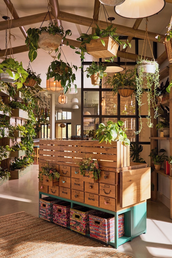 Treehouse Hotel Silicon Valley 4/50