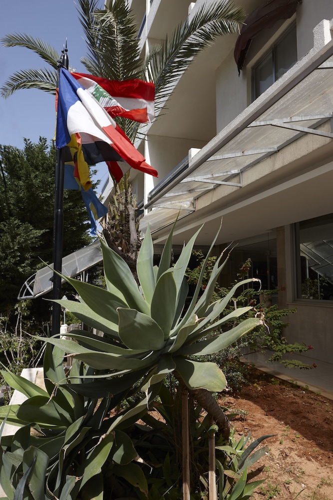 Zoukotel Hotel 46/50