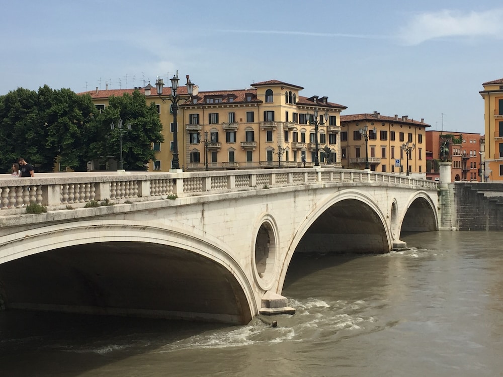 Lady Verona 42/50
