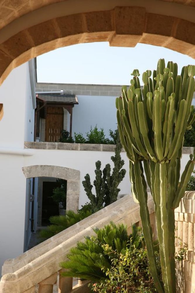 Masseria San Martino 7/57