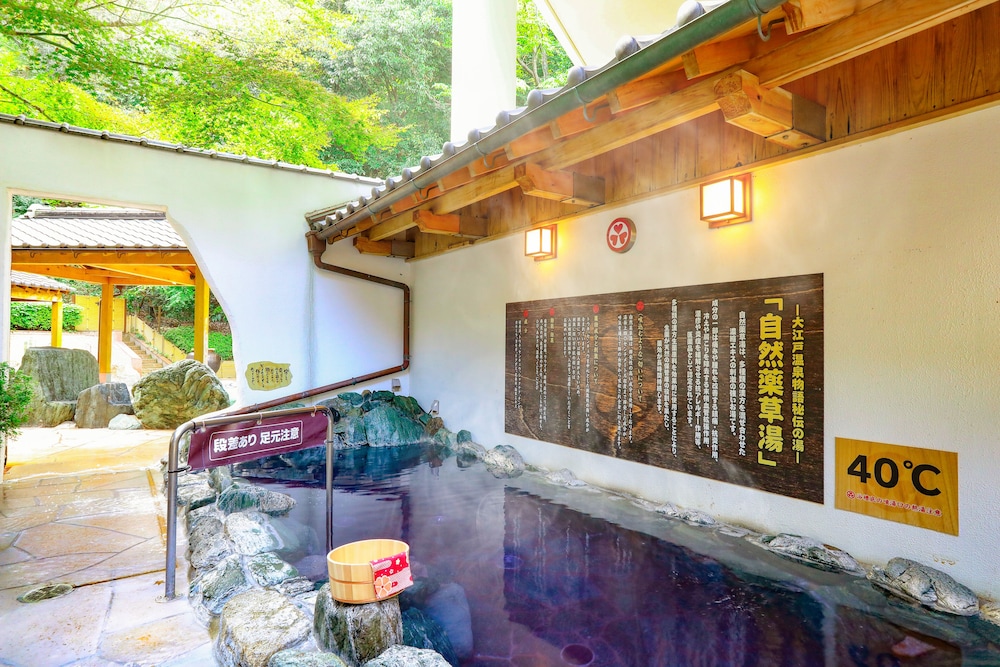 Ooedo Onsen Monogatari Reoma No Mori 26/47
