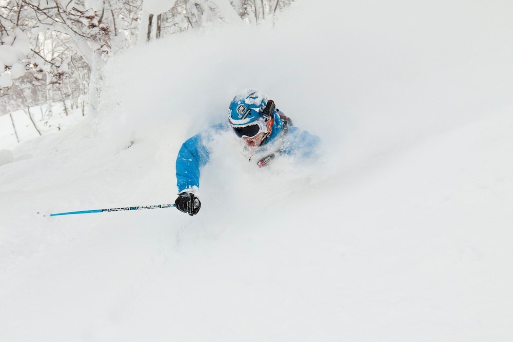 Muse Niseko 46/50