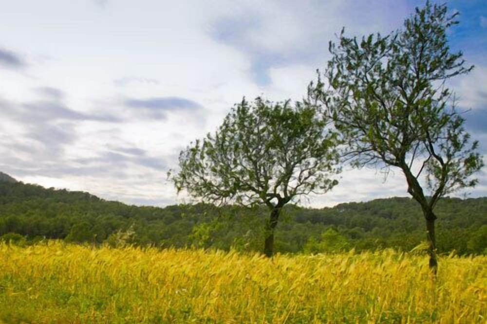 Agroturismo Can Pujolet 28/50
