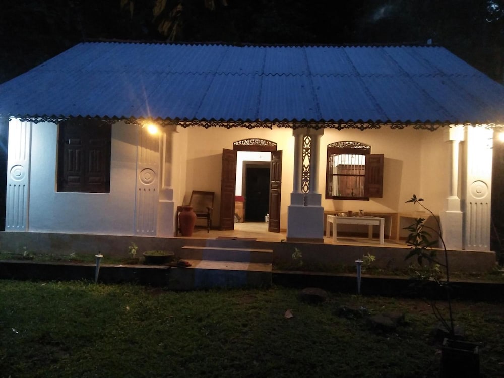 The Jungle House 21/50