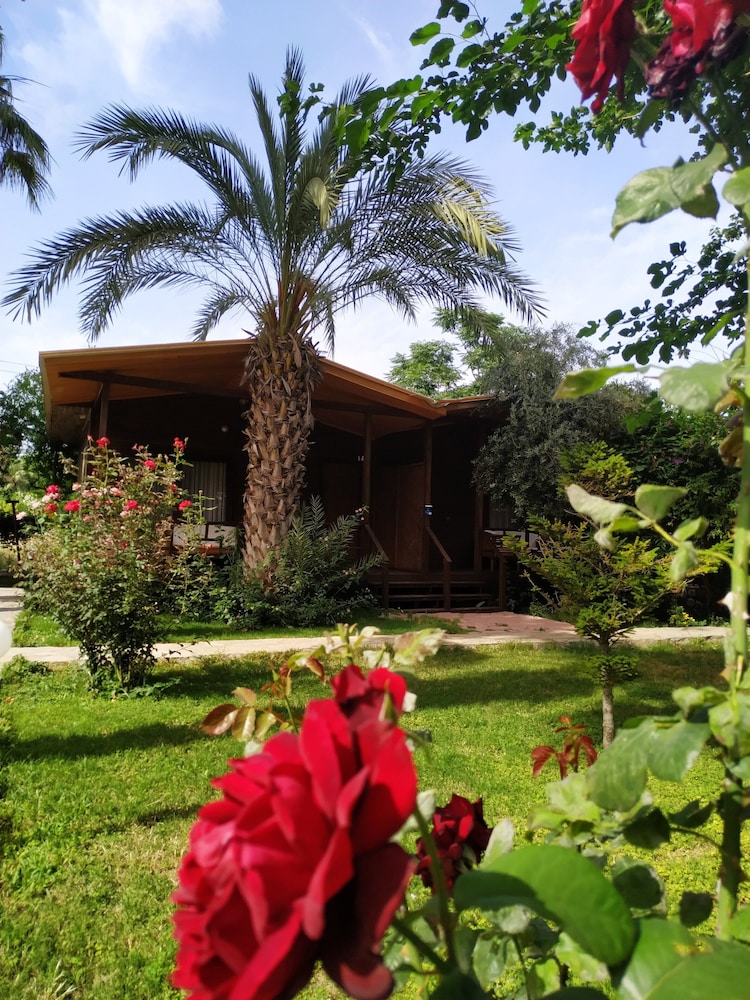 Olympos Yavuz Hotel 32/38