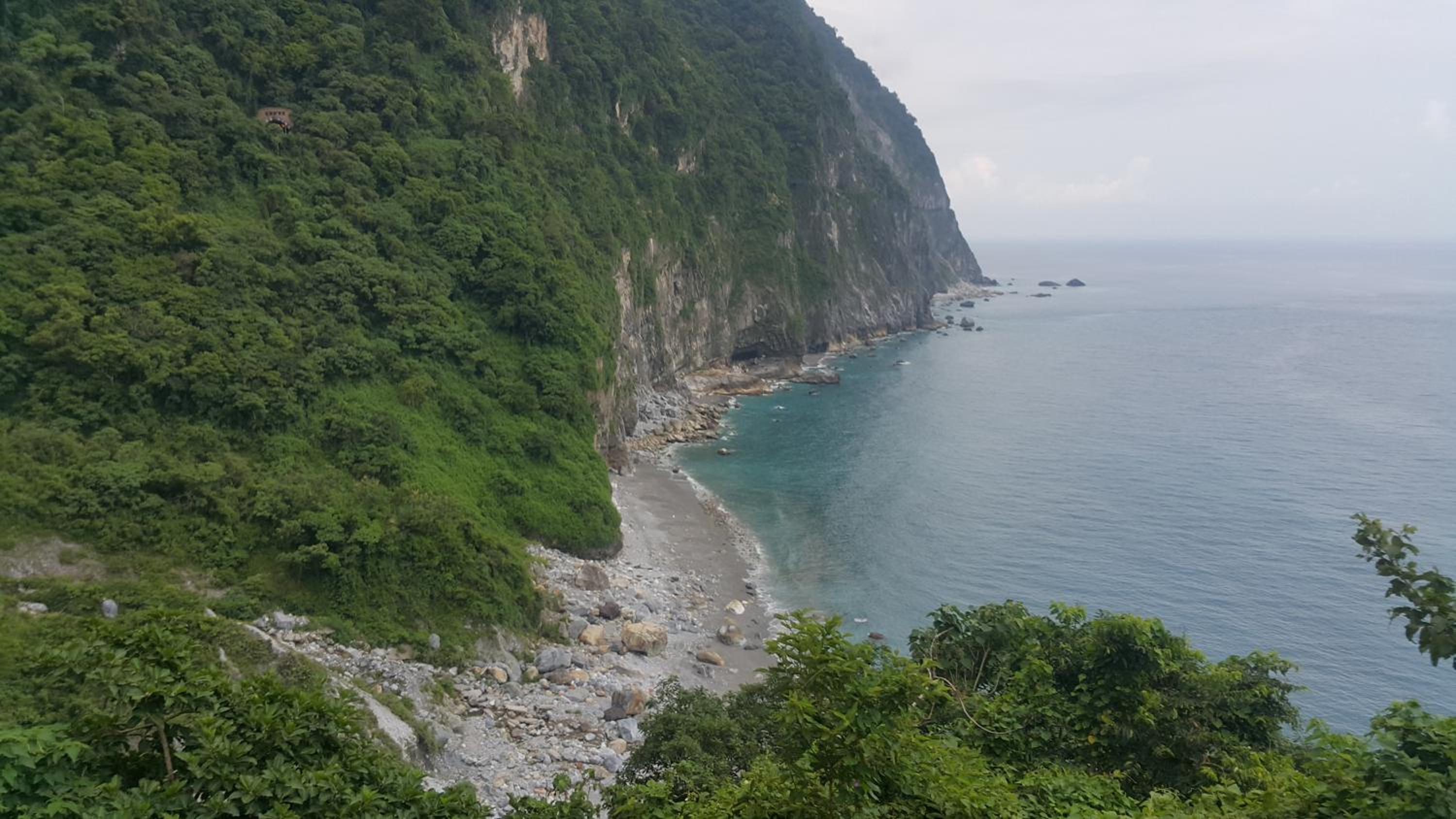 Hualien Pine 39/50