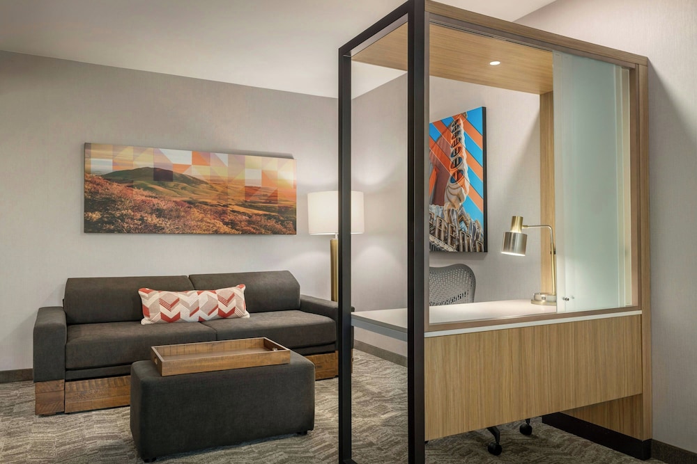 SpringHill Suites By Marriott San Luis Obispo 49/65