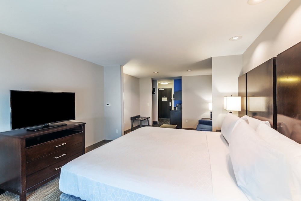 Holiday Inn Express & Suites Austin NW - Lakeway 22/50