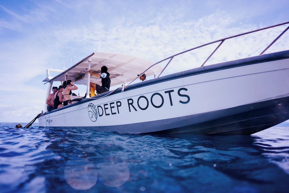 Deep Roots Dive & Yoga Resort in BALI