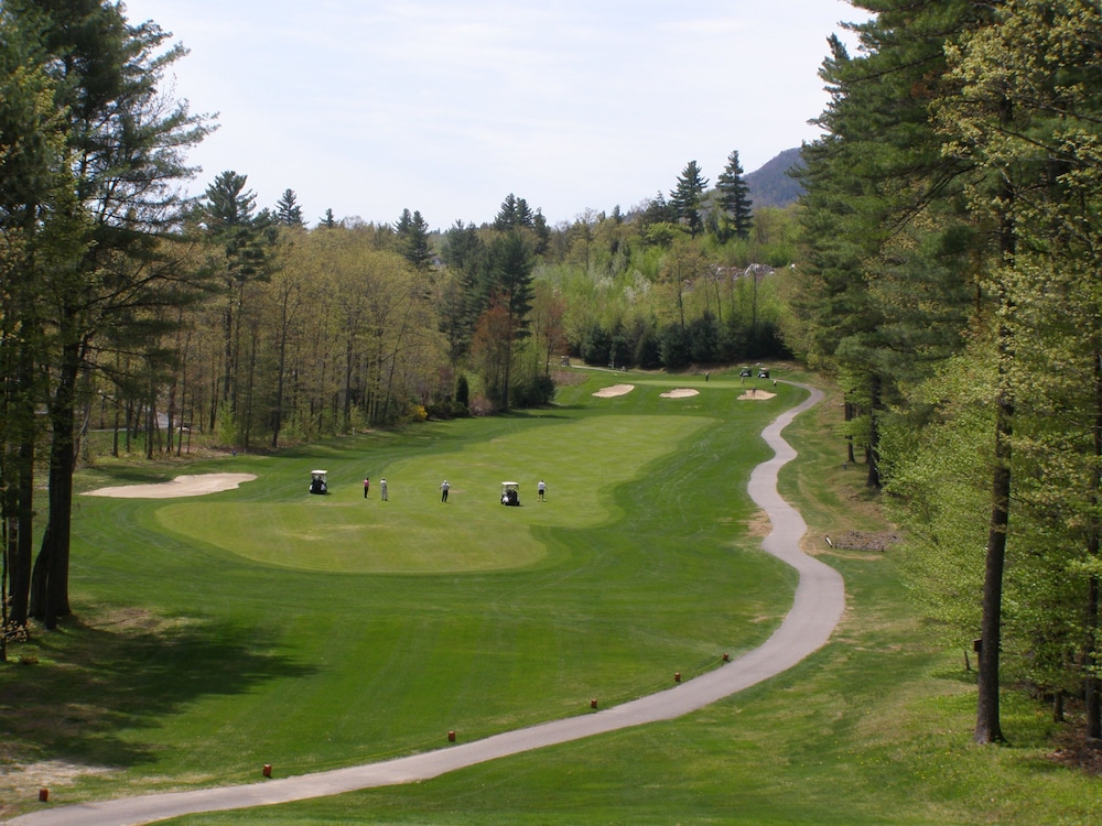 The White Mountain Hotel And Resort 25/49
