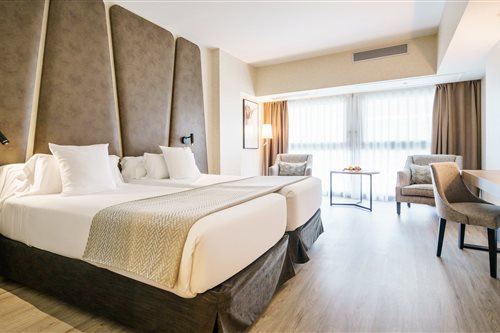 Room, Double or Twin Bed