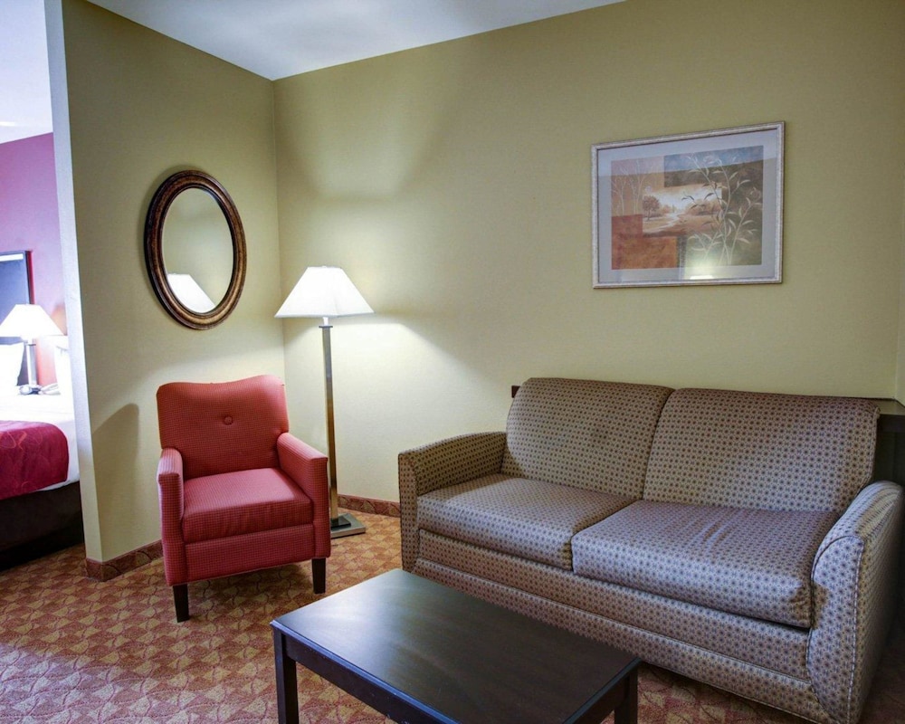 Comfort Suites Old Town Spring, TX 31/44