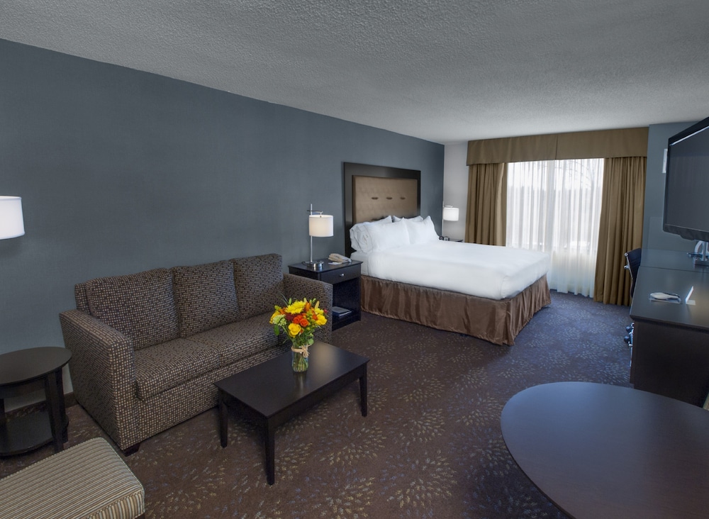Holiday Inn Express Hotel Suites Buffalo Airport 42/58