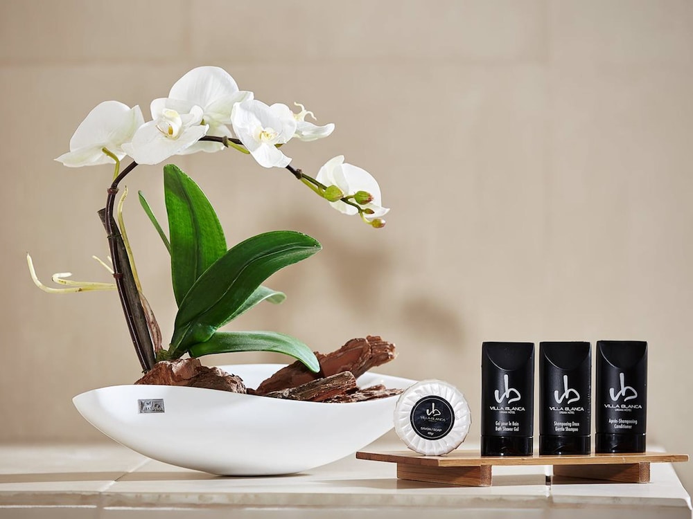 维拉布兰卡水疗酒店(VILLA BLANCA HOTEL AND SPA(Villa Blanca Urban))(VILLA BLANCA HOTEL AND SPA(Villa Blanca Urban)) 图片3