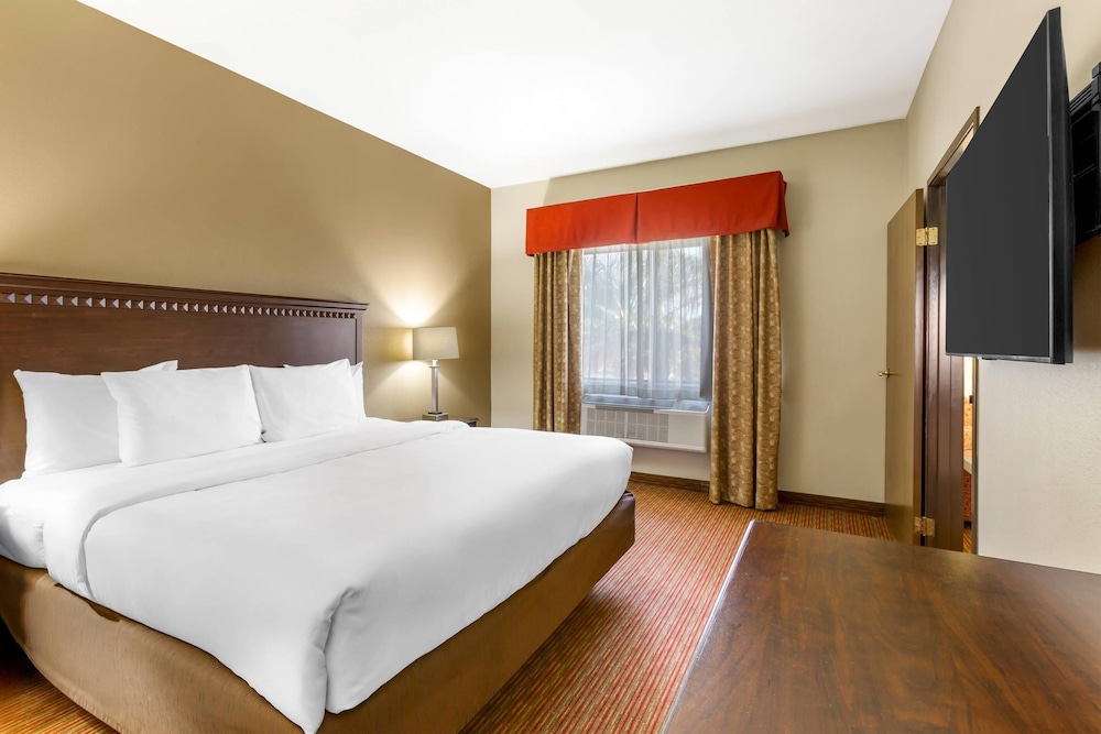 Suite, King Bed, Sofa