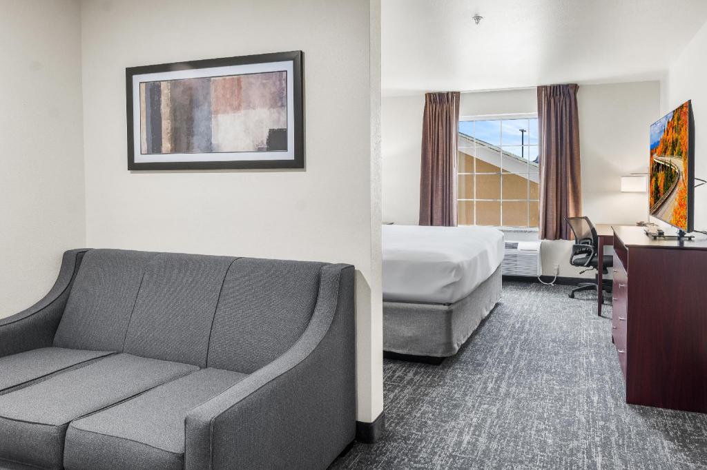 Studio, Single, King Bed, Cobblestone Hotel & Suites - Denmark 3/4