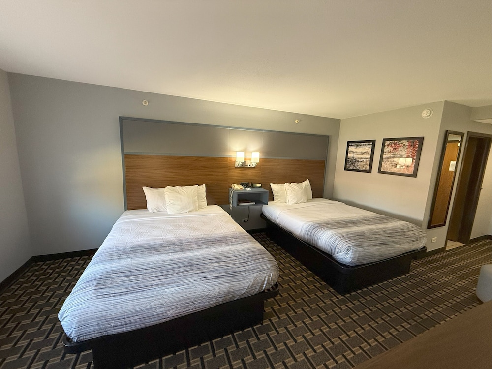 Room, 2 Queen Beds