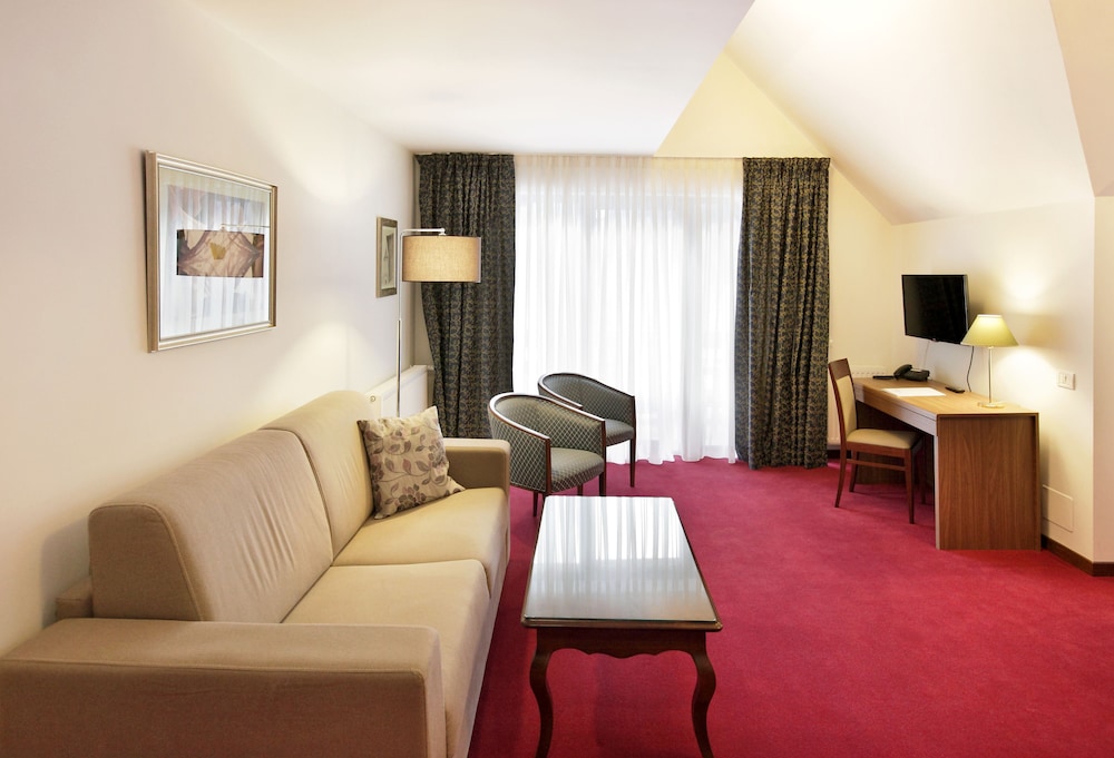 HOTEL BOUTIQUE BELVEDERE SINAIA 39/60
