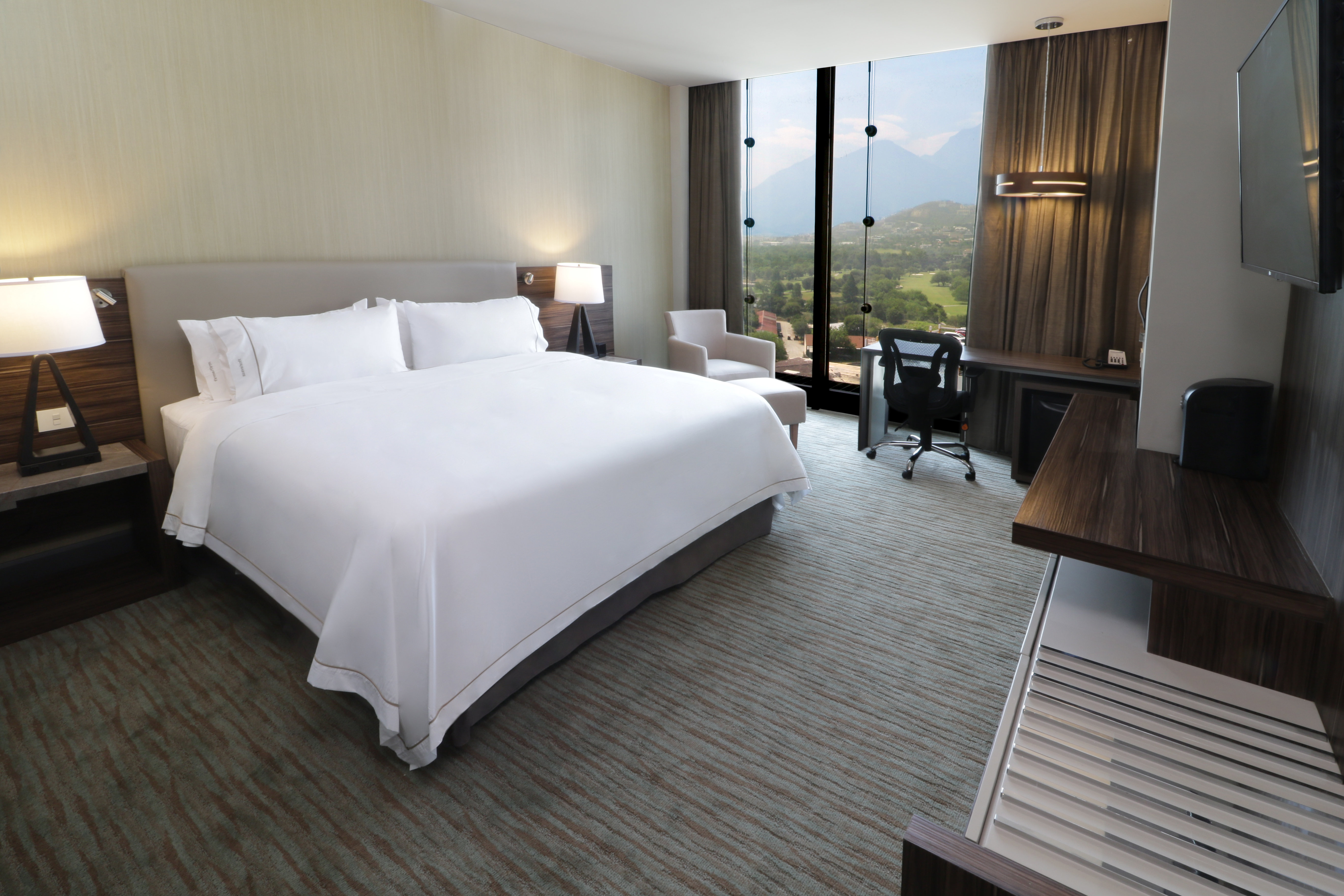 Holiday Inn Express Suites Monterrey Valle 31/74