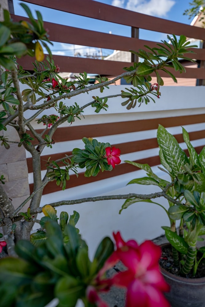 Lamai Plaza Residence 6/50