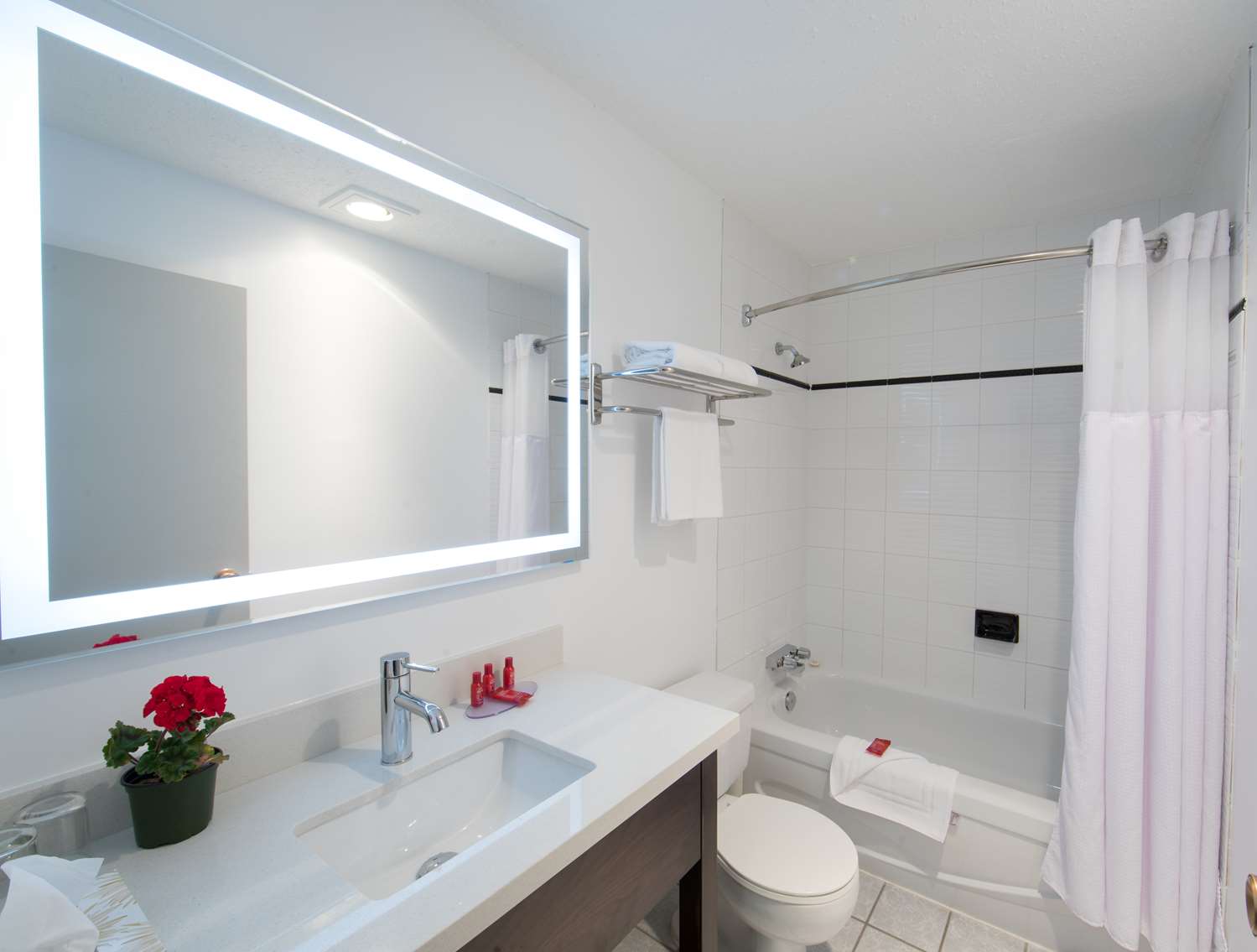 غرفة بسريرين كوين يُسمح فيها بالحيوانات الأليفة بمطبخ صغير في الطابق الأرضي، SureStay Hotel by Best Western Castlegar 5/5
