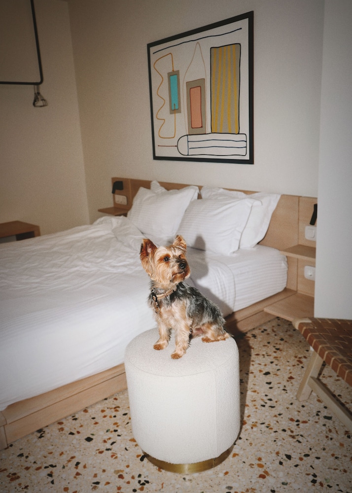 Vasi Hotel 18/50