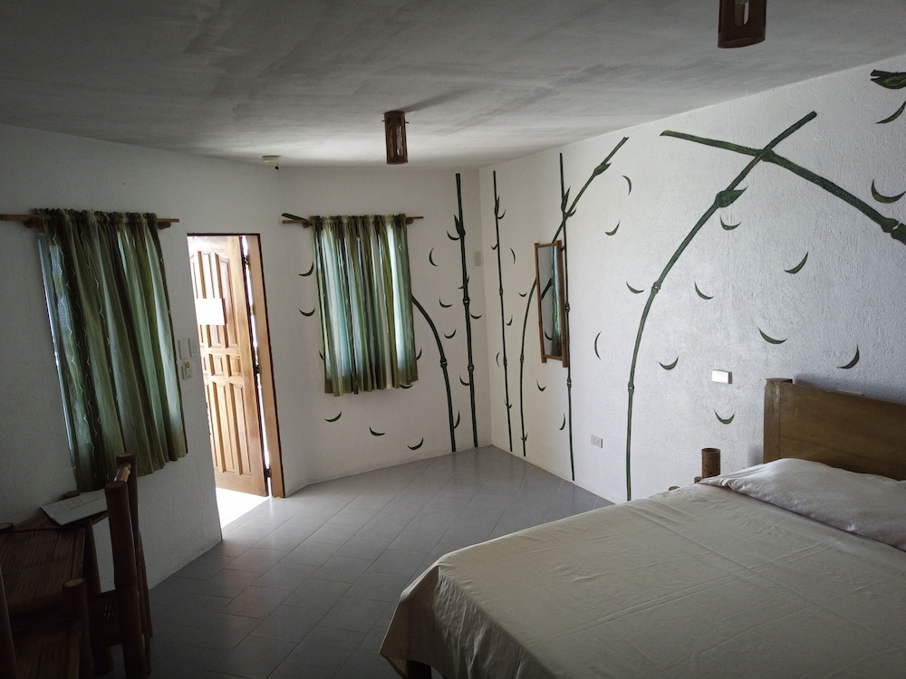 Ocean Bay Beach Resort 12/50