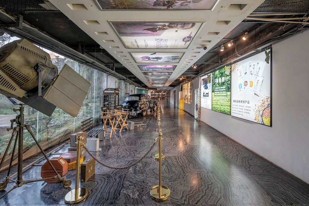 SSAW Boutique Hotel SWUFE Chengdu 56/76