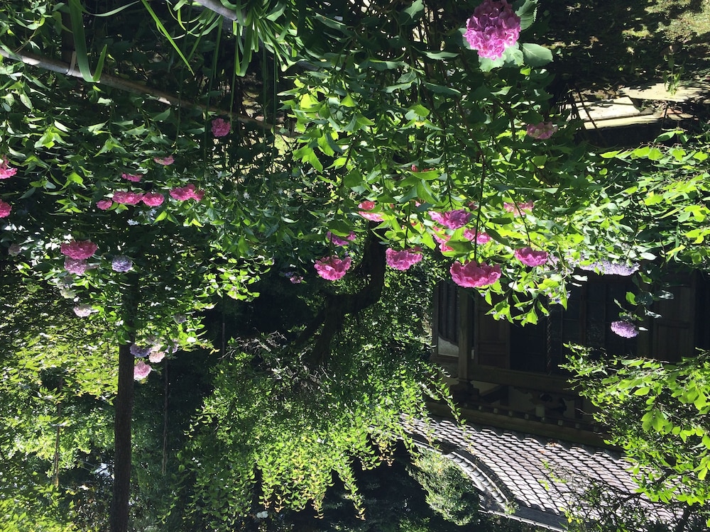 Guest House Kamejikan - Hostel 45/49
