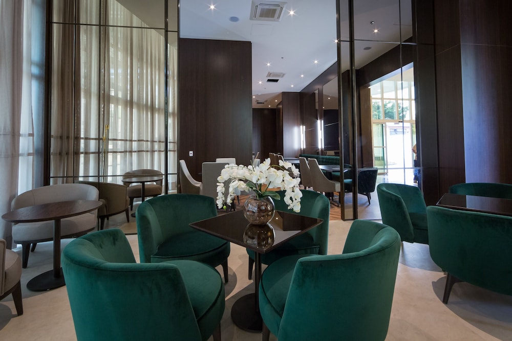Ca d Oro Sao Paulo Hotel 44/55