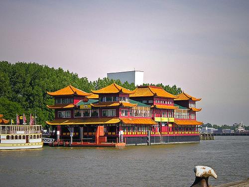 hotel new ocean paradise