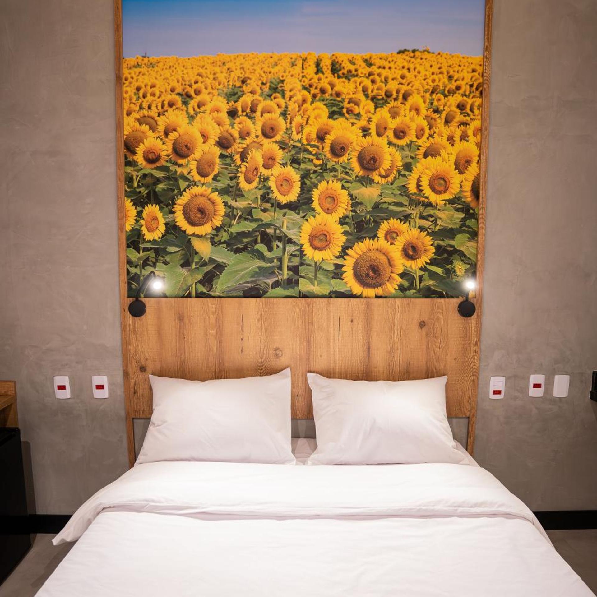 Campos de Holambra Inn 25/50