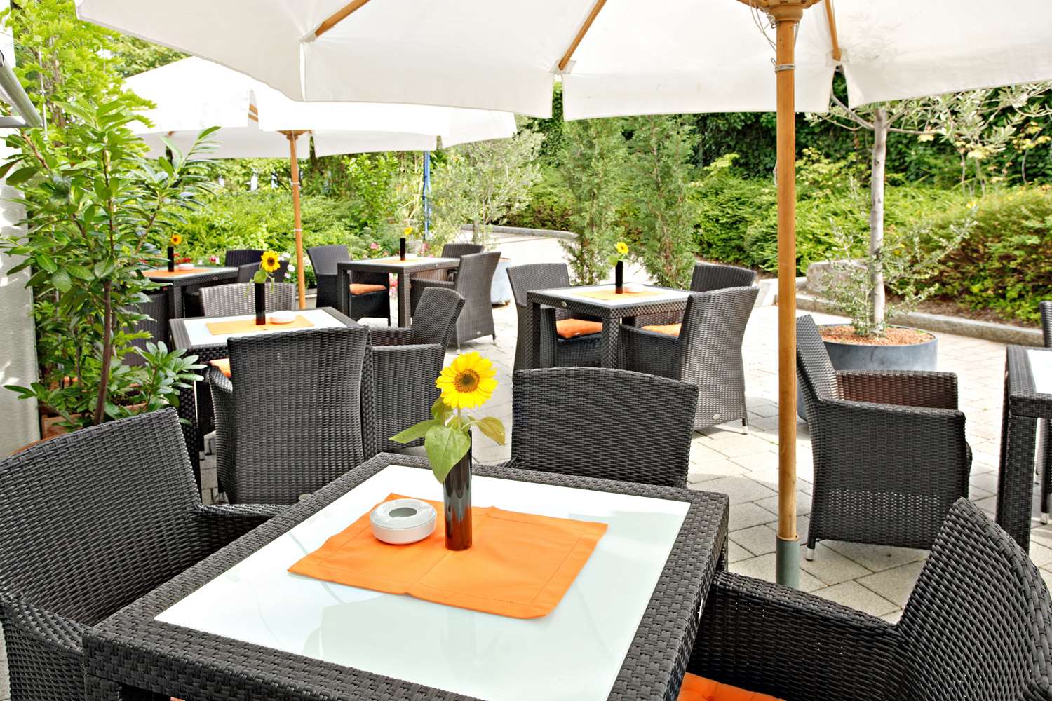 Best Western Plus Palatin Kongress Hotel 49/75