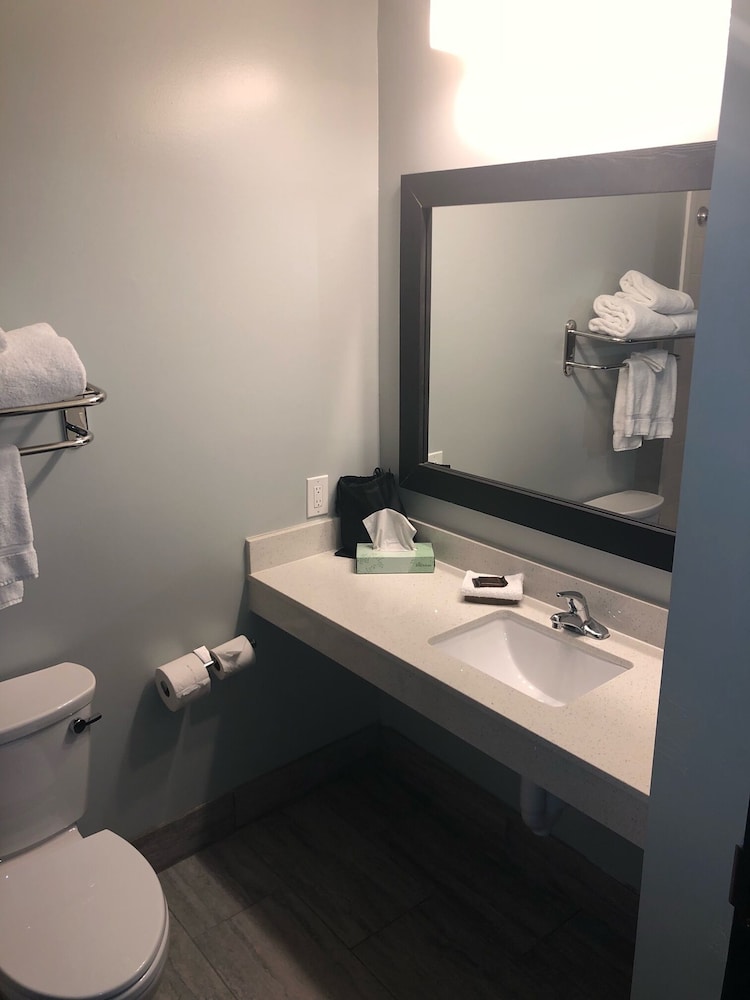 Wingate by Wyndham Humble/Houston Intercontinental Airport 27/56