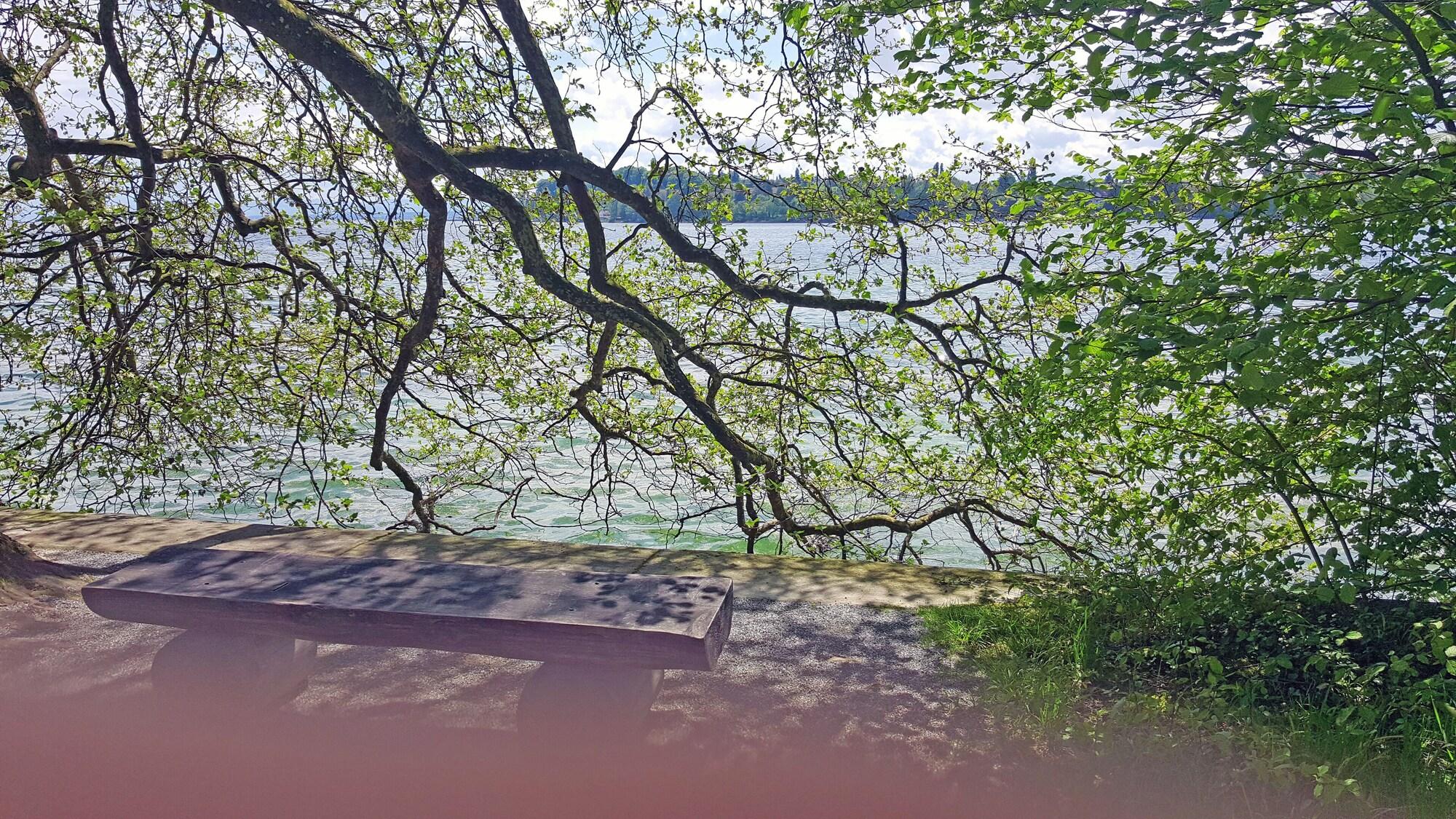 Hotel Am Park 46/55