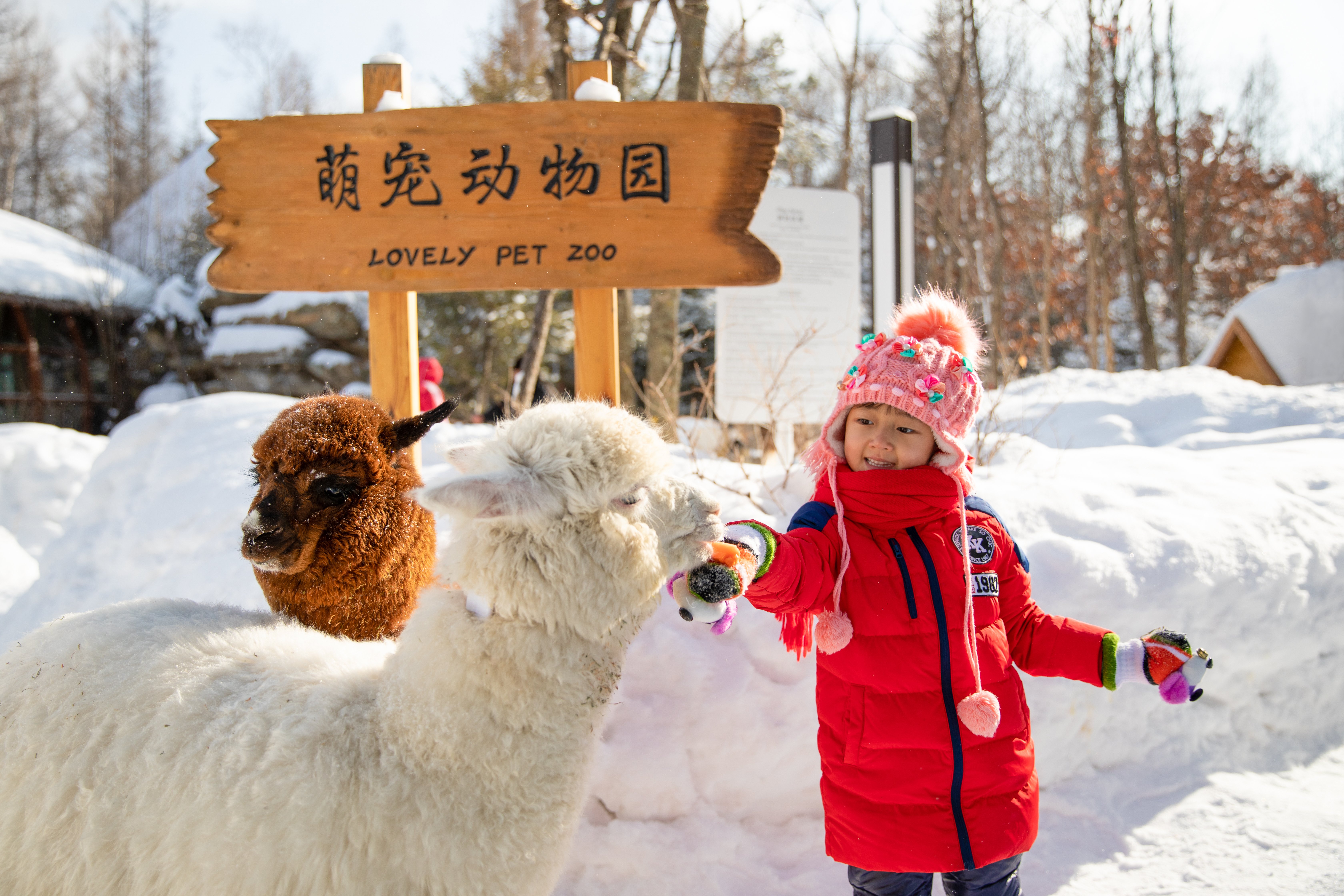 CROWNE PLAZA RESORT CHANGBAISHAN HOT SPRING 42/50
