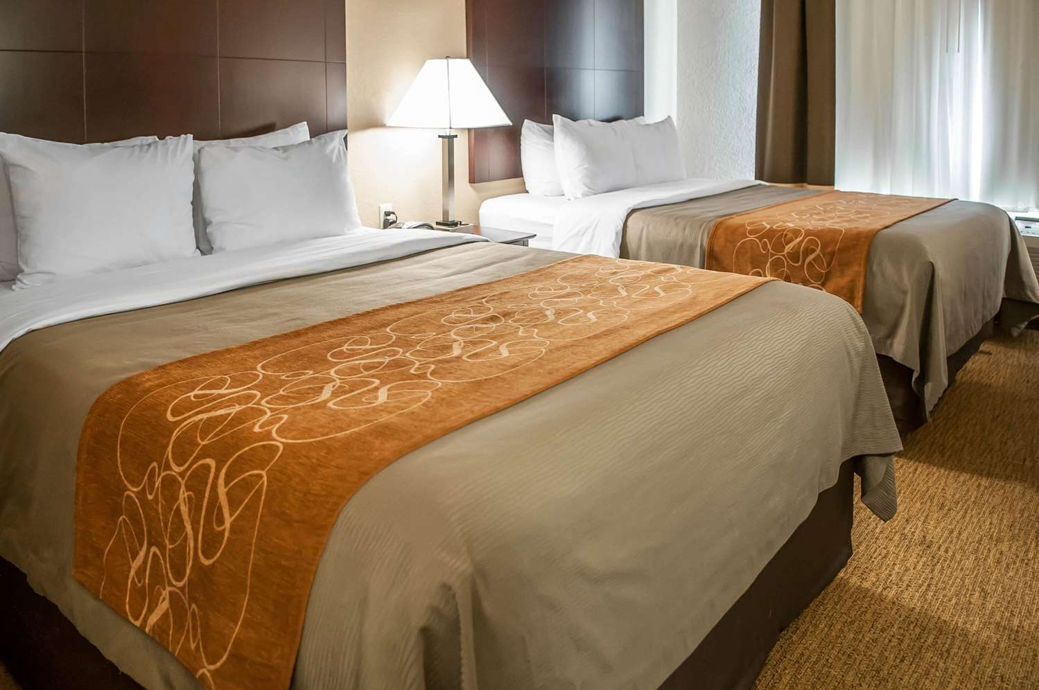 جناح بسريرين كوين، Comfort Suites Albuquerque/North Journal Center 2/3