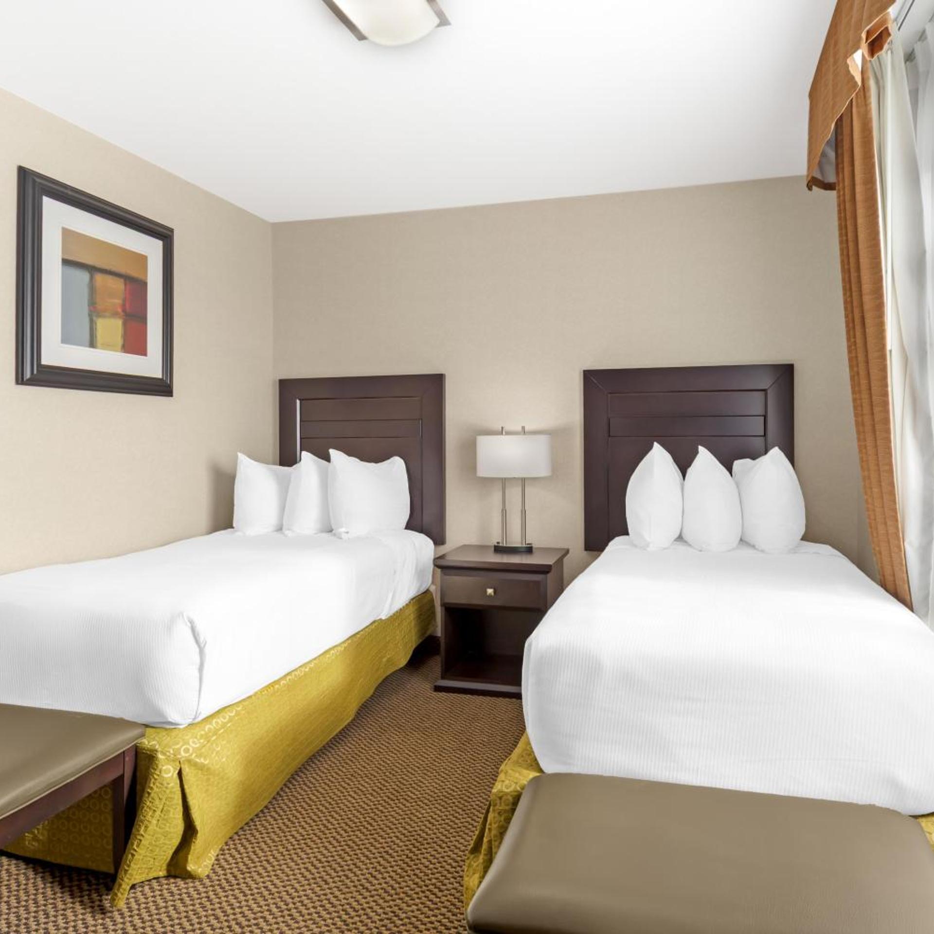 1 Bedroom, Suite