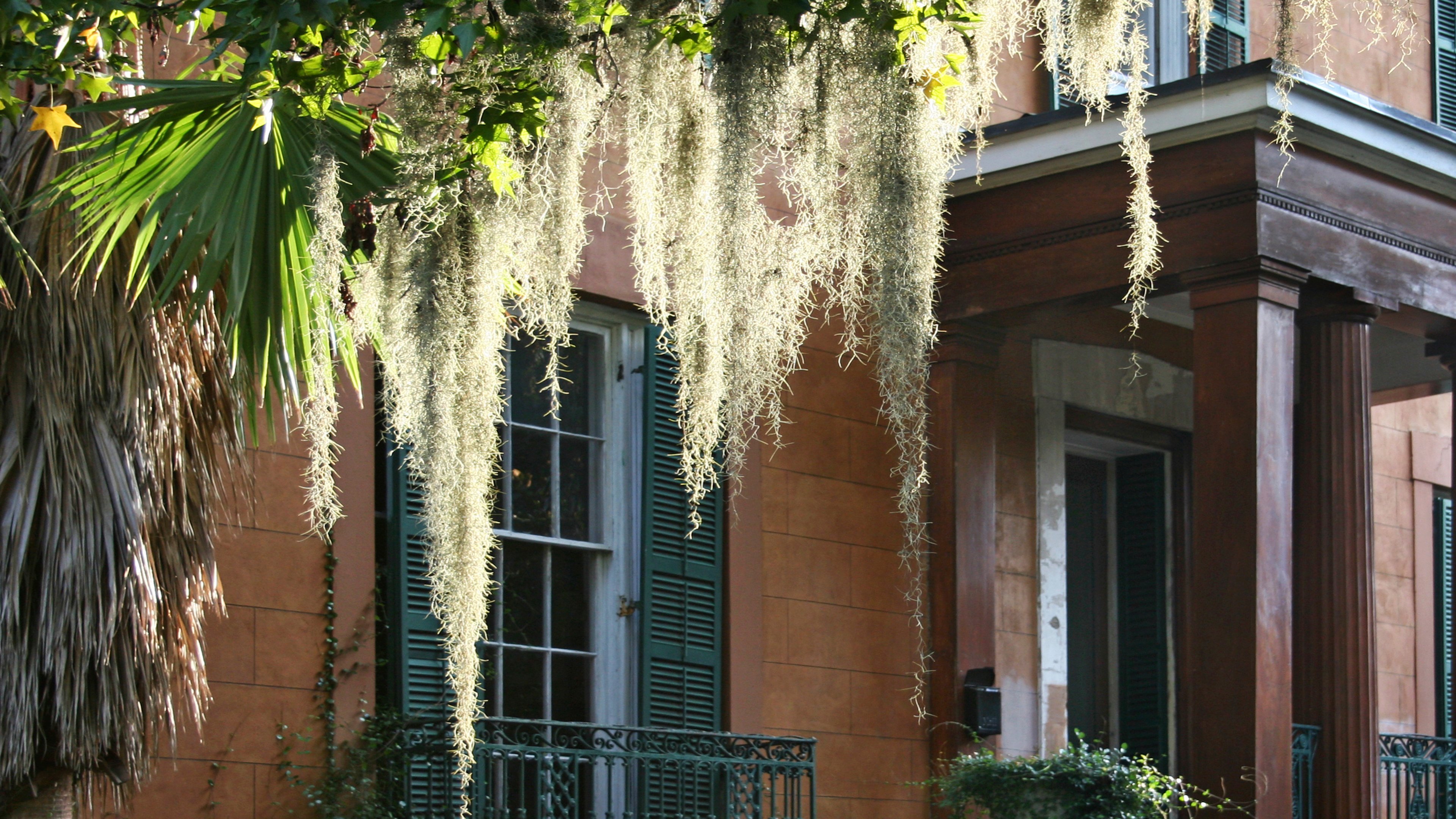 Hotel Indigo Savannah Historic District in SAVANNAH - GA