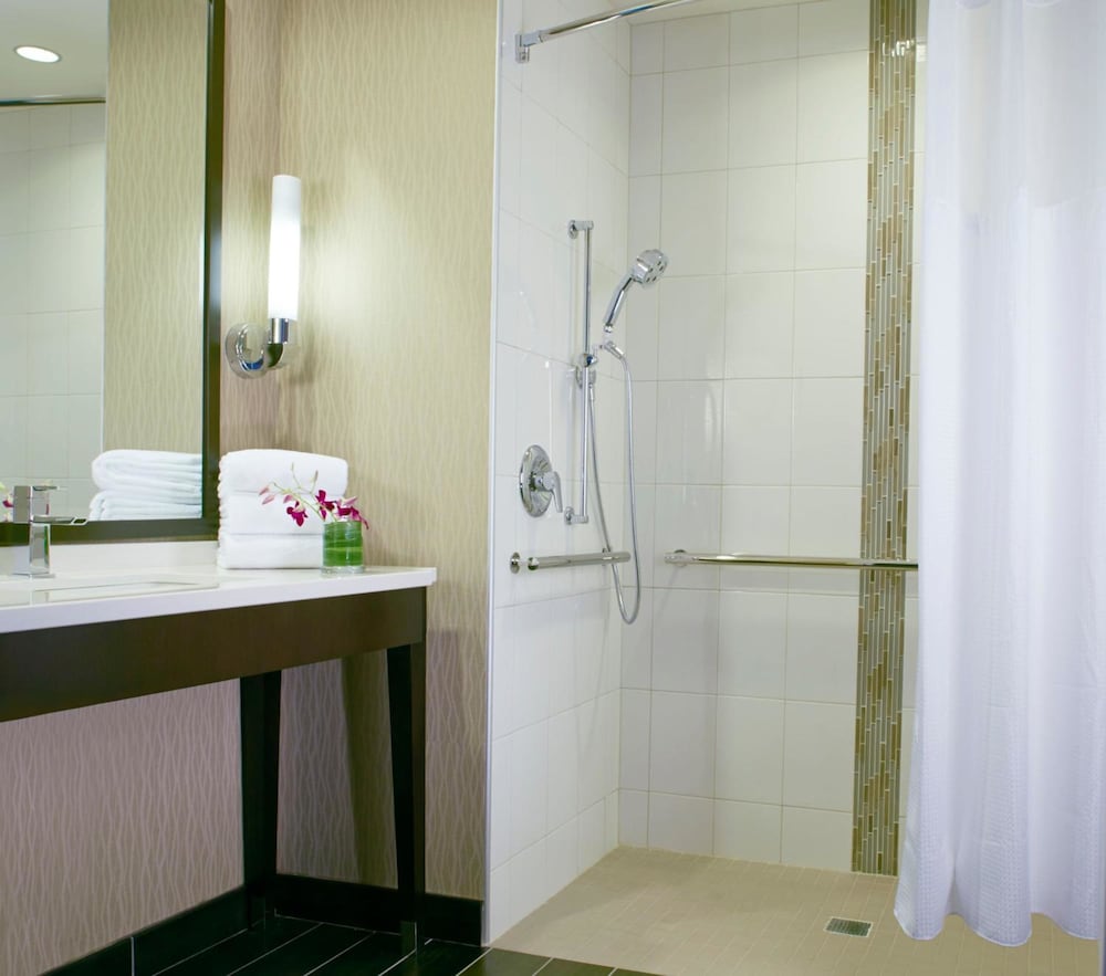 Hyatt Regency Atlanta Perimeter At Villa Christina 19/62