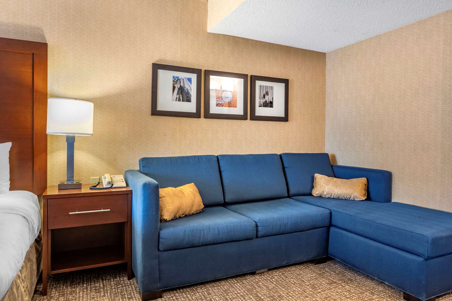 Comfort Inn Meadowlands 12/15
