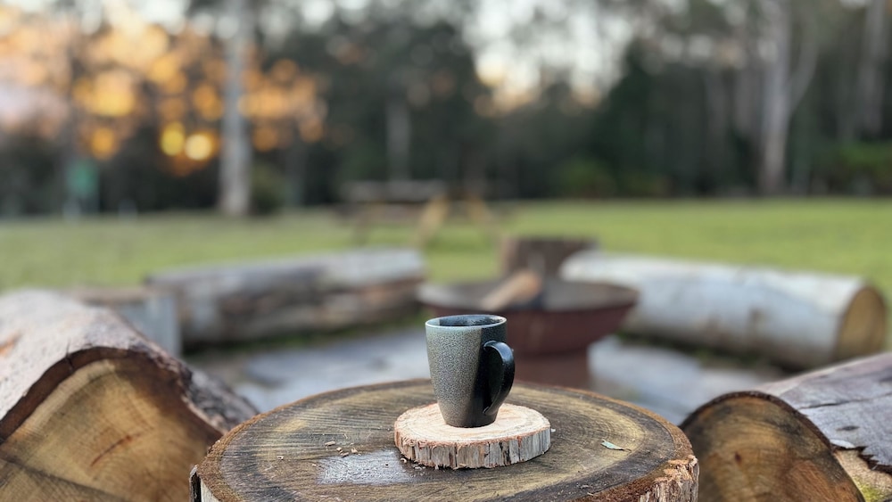 Cradle Forest Inn 20/50