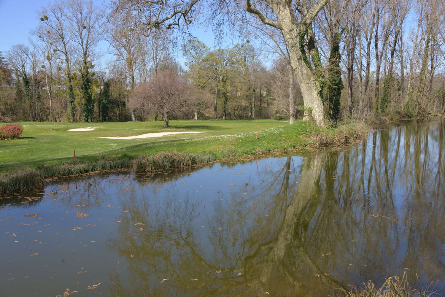 Golf D albon 16/23