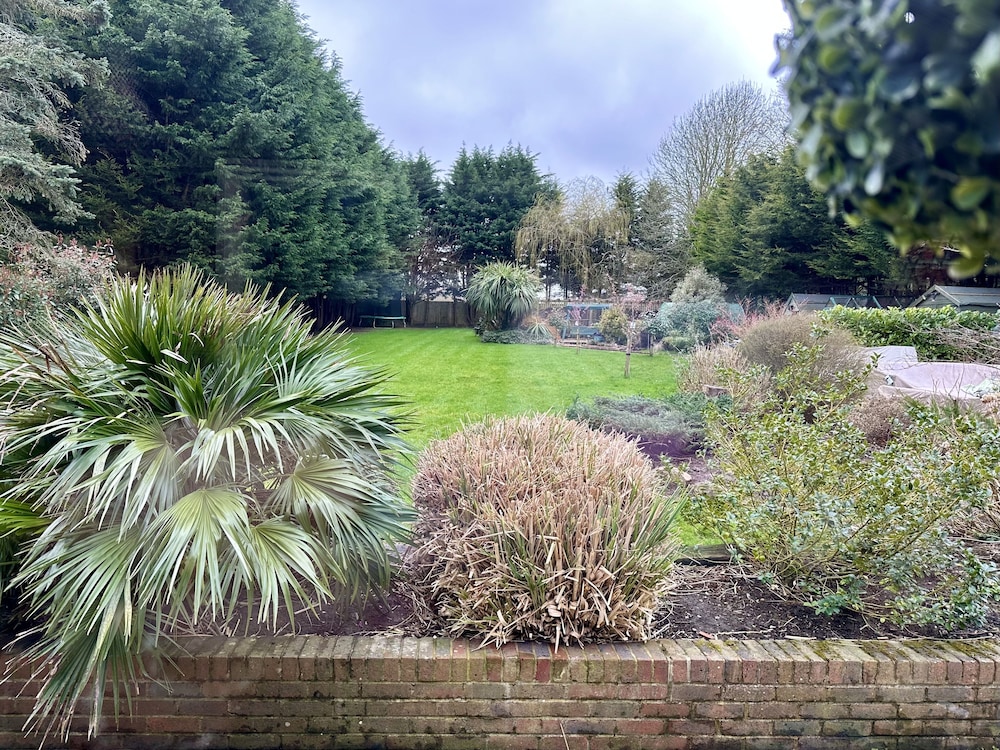 Beechwood B&amp;B 22/32